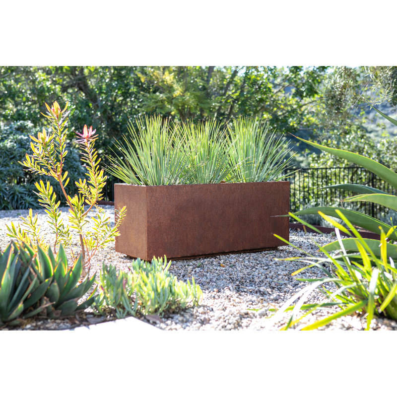 Metallic Series Corten Steel Planter Box & Reviews AllModern